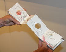 Hittenberger-Italian-in-a-Book